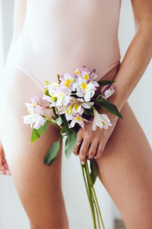 Silhouette Collection